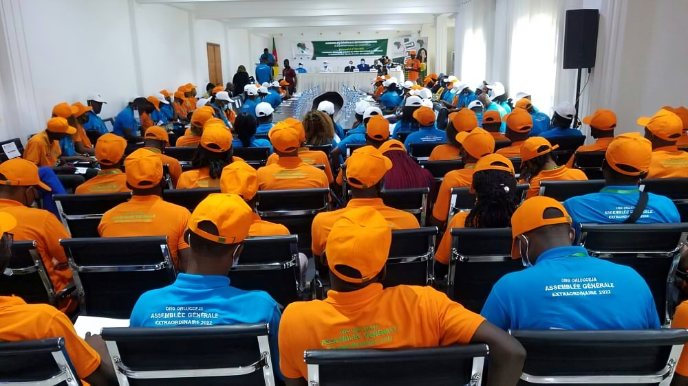 471069844 1657055901691154 8299881202847868377 n